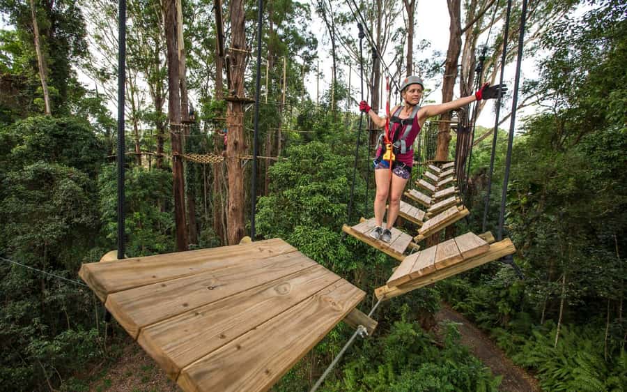 Sunshine Coast: Treetop Challenge Adventure Park - Training and the smart belay system
