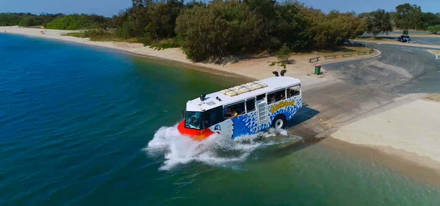 Surfers Paradise: Guided Gold Coast Amphibious Bus Tour - Seeing the famous sand at Surfers Paradise