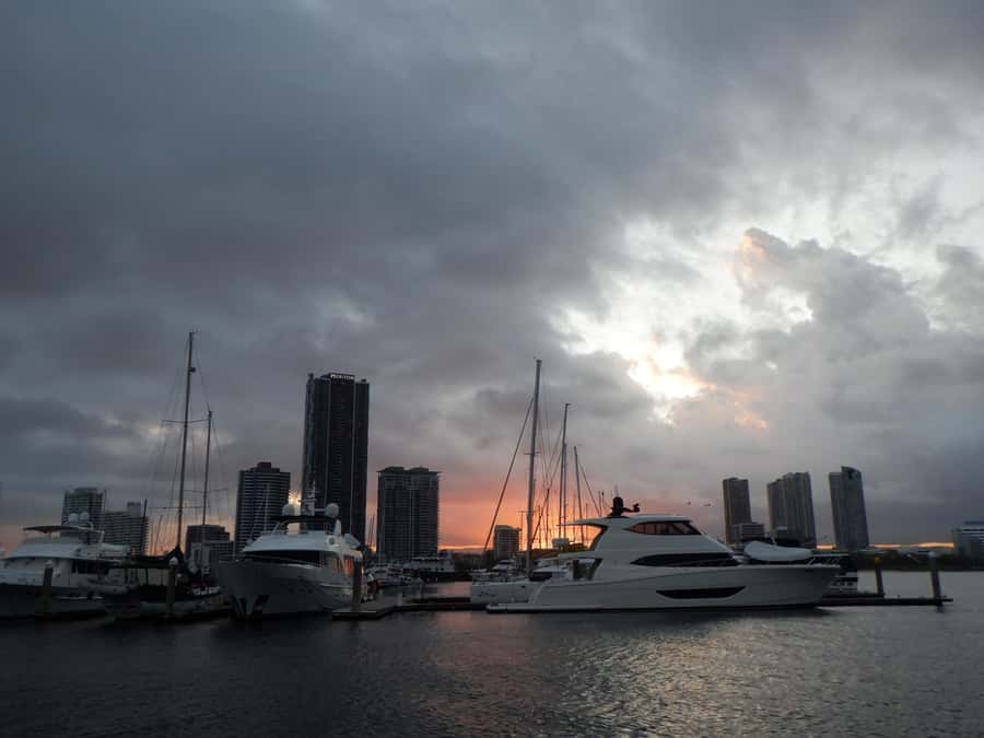 Surfers Paradise Sightseeing City Lights Cruise - Getting the best skyline photographs