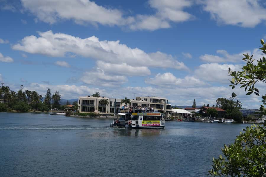 Surfers Paradise: Sightseeing Morning River and Canal Cruise - Looking for dolphins without counting on them