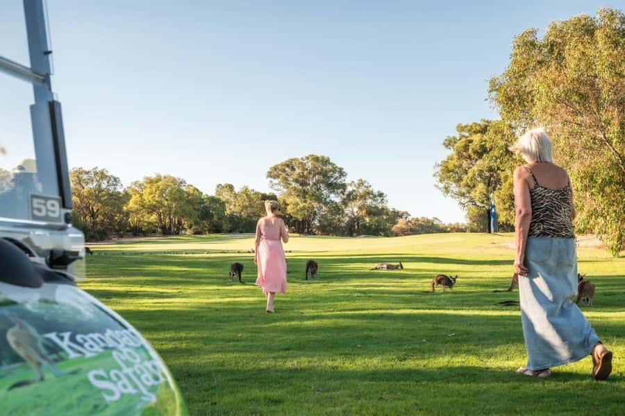 Swan Valley: Golf Cart Kangaroo Safari w/ Mini Golf & Drink - Key points to know before you book
