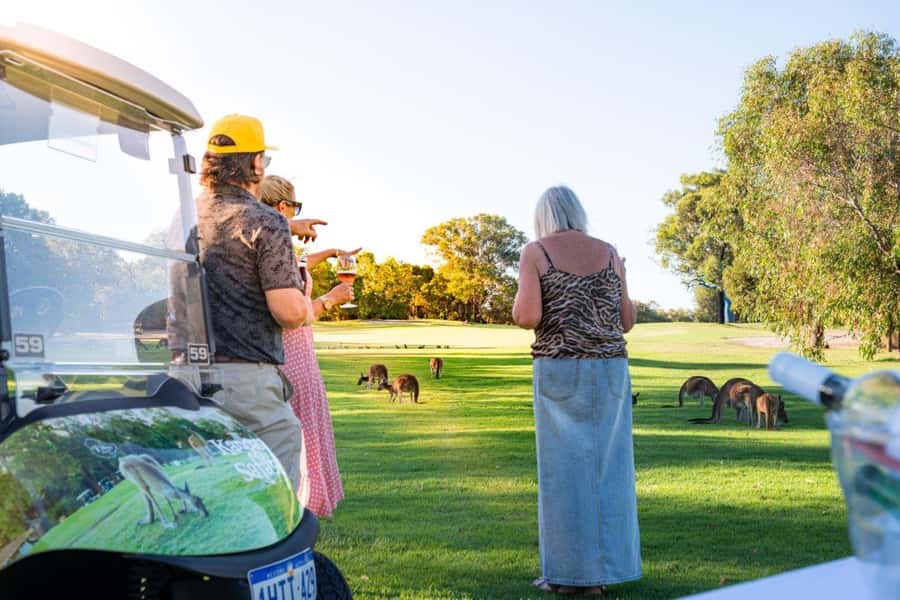 Swan Valley: Golf Cart Kangaroo Safari w/ Mini Golf & Drink - Why kangaroos on a golf course make this outing different
