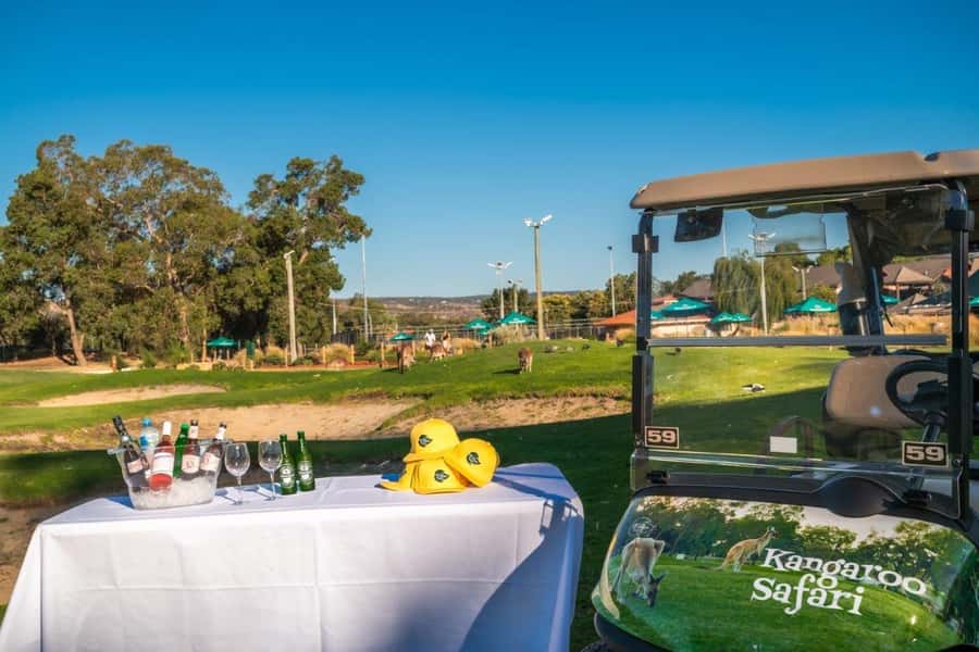 Swan Valley: Golf Cart Kangaroo Safari w/ Mini Golf & Drink - Who will enjoy this best?