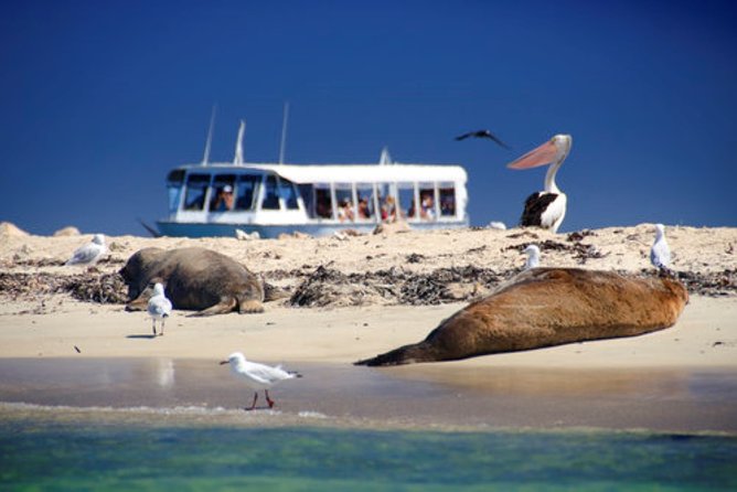 Swan Valley Wine Cruise - The return cruise with dessert and live music