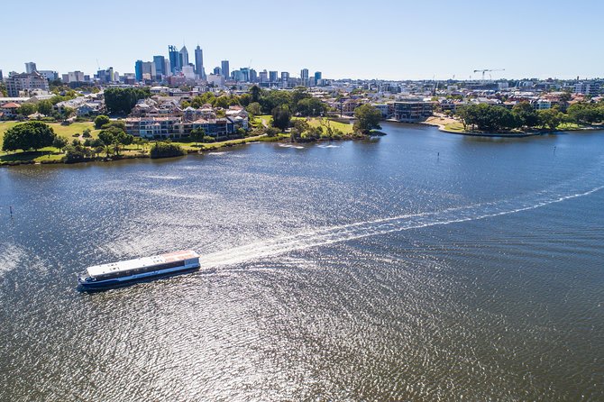 Swan Valley Wine Cruise - Who will enjoy this day most