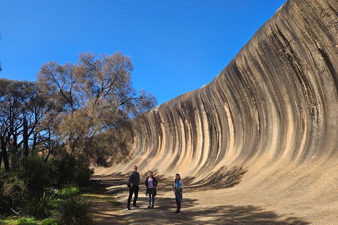 Swan Valley Wine Cruise - Should you book the Swan Valley Wine Cruise?