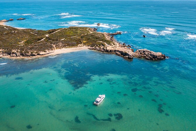 Swim with Wild Dolphins Day Tour - What lunch adds to the day