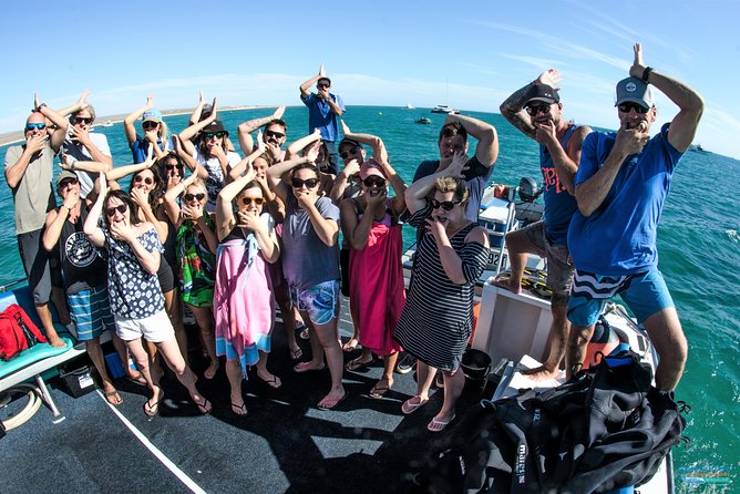 Swimming with the Whale Sharks - Ningaloo Reef (Exmouth) - Reef snorkeling gives the day a second act