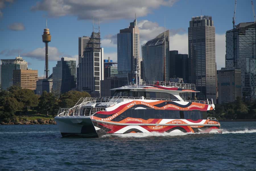 Sydney: 2-hour Express Whale Watching Cruise - The wildlife can include more than whales