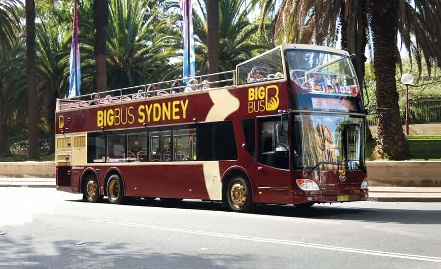 Sydney: Big Bus Hop-On Hop-Off Tour with Optional Cruise - Small planning details that make a big difference