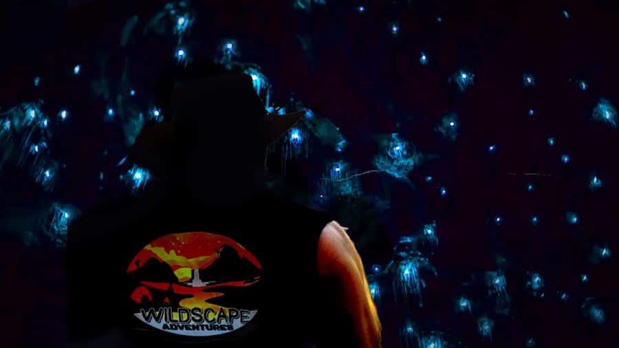 Sydney: Blue Mountains Glow Worms Wild Adventure by Night - The waterfall cave and its starry ceiling