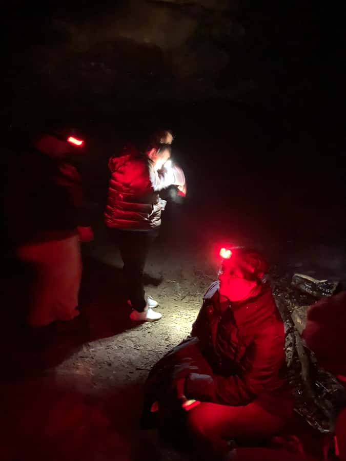Sydney: Blue Mountains Glow Worms Wild Adventure by Night - Wildlife, bush tucker and Australian nature
