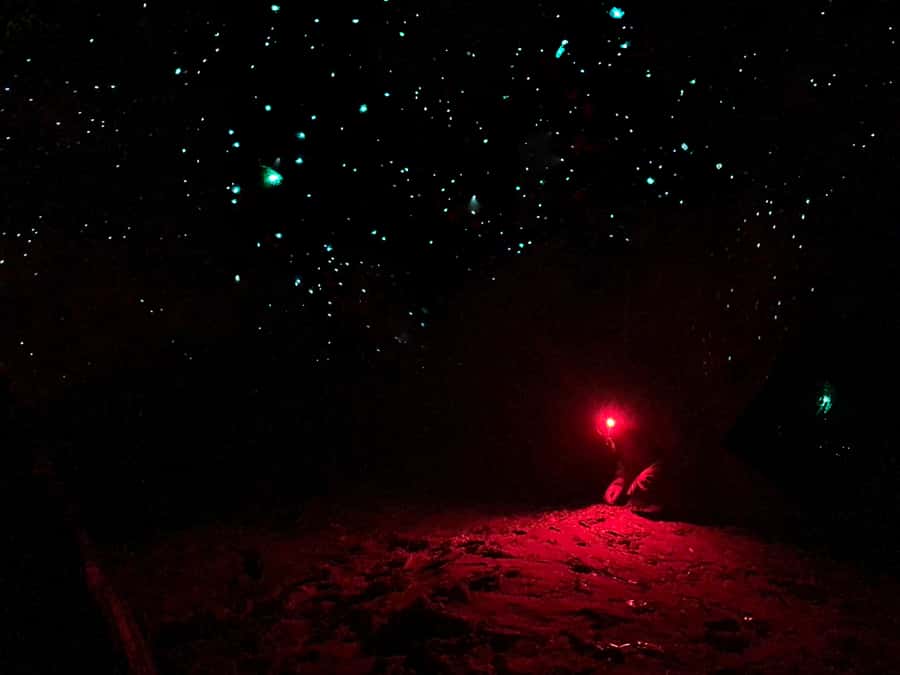 Sydney: Blue Mountains Glow Worms Wild Adventure by Night - Following the headlamps down the forest trail