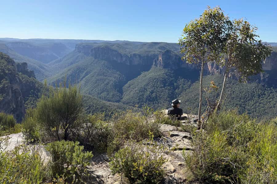 Sydney: Blue Mountains Kangaroos, Wilderness and Sunset Tour - Narrow Neck Plateau and the sunset finish
