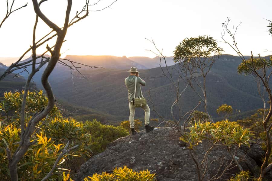Sydney: Blue Mountains Kangaroos, Wilderness and Sunset Tour - Looking for kangaroos without turning wildlife into a show