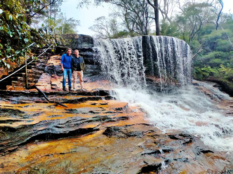 Sydney: Blue Mountains Late Start, Walks Waterfalls & Koalas - Australian history, plants, and birdlife on the road