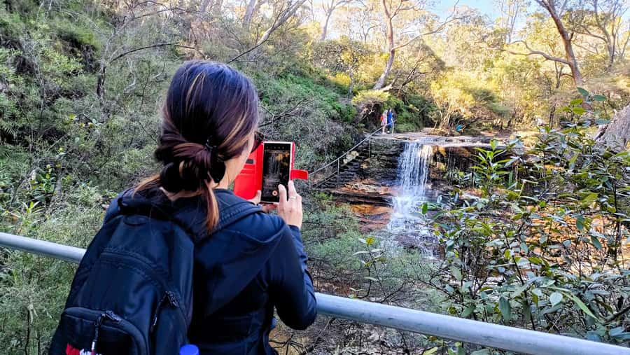 Sydney: Blue Mountains Late Start, Walks Waterfalls & Koalas - What is missing from this Blue Mountains tour