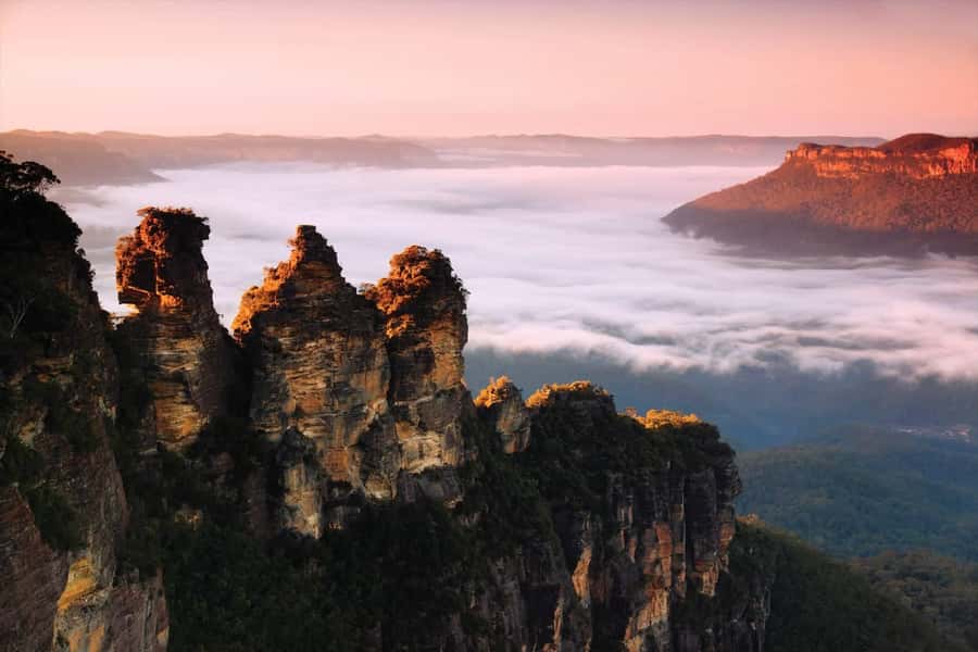 Sydney: Blue Mountains National Park Tour with River Cruise - Sydney Zoo before the crowds