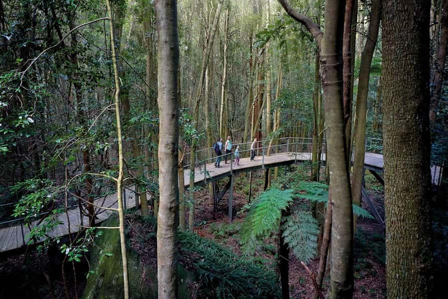 Sydney: Blue Mountains National Park Tour with River Cruise - The Parramatta River ferry home