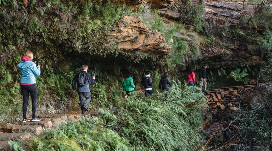 Sydney: Blue Mountains Wildlife & Bushwalk Small-Group Tour - Key points to know before booking
