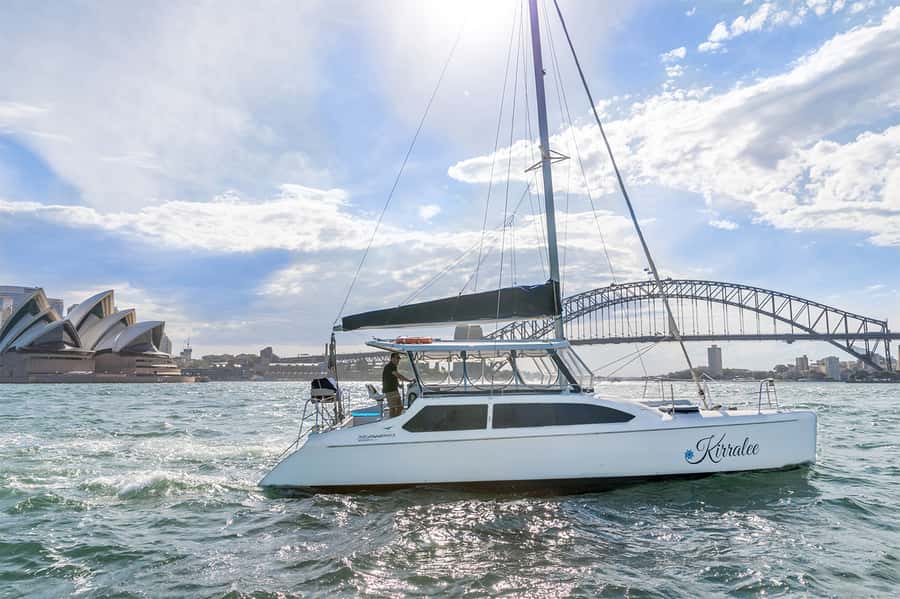 Sydney: Bring Your Own Drinks Vivid Harbour Cruise - What happens during the 90-minute cruise