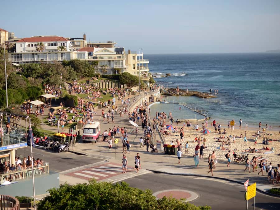 Sydney: City Highlights Guided Bus Tour - Key points at a glance