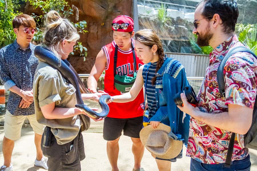 Sydney: Combo Pass for 2, 3, or 4 Top City Attractions - Key points at a glance