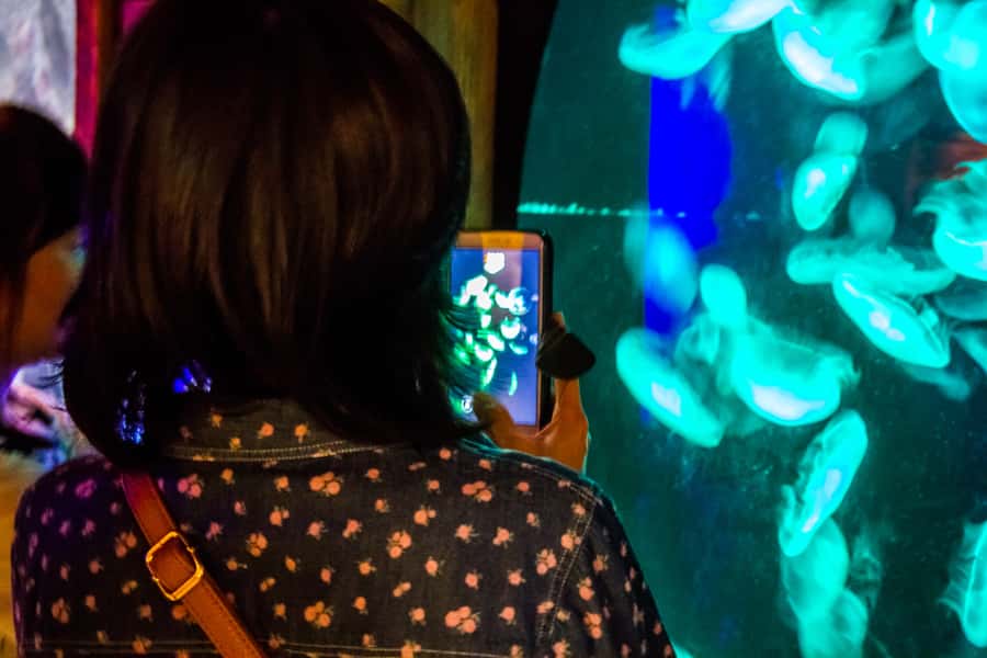 Sydney: Combo Pass for 2, 3, or 4 Top City Attractions - Who will enjoy this pass most?