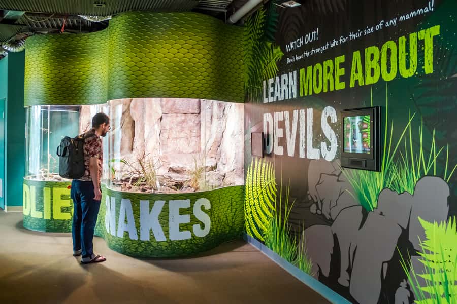 Sydney: Combo Pass for 2, 3, or 4 Top City Attractions - Australian animals at Wild Life Sydney