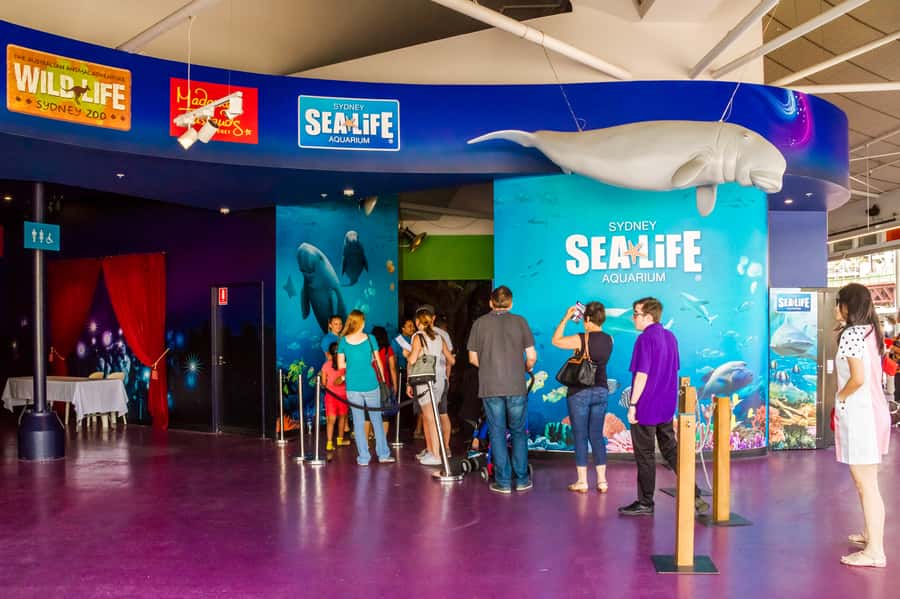 Sydney: Combo Pass for 2, 3, or 4 Top City Attractions - Sydney Tower Eye and the city view