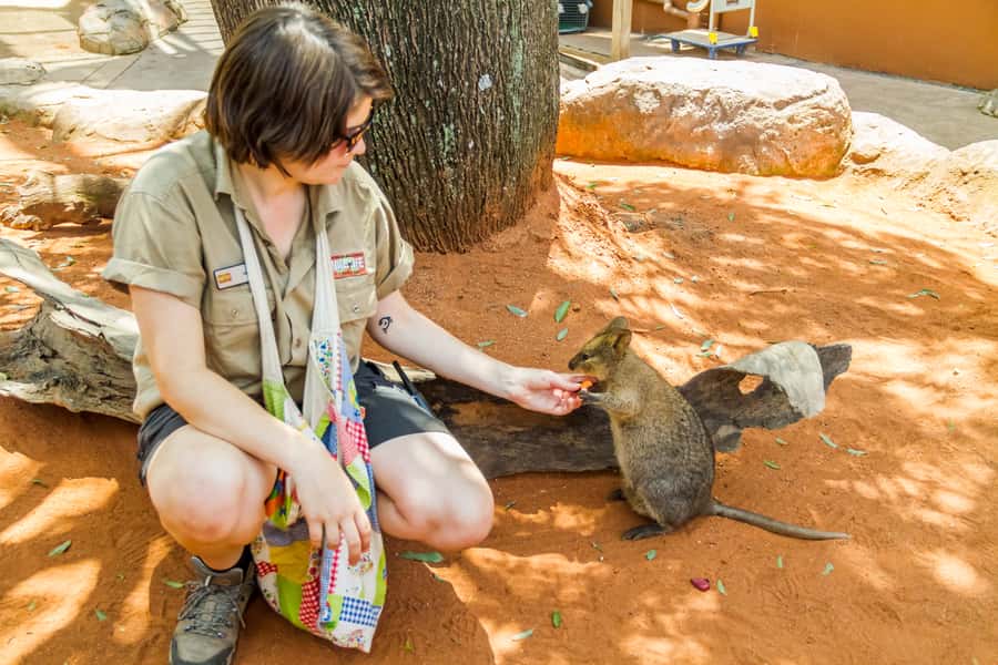 Sydney: Combo Pass for 2, 3, or 4 Top City Attractions - The best ways to use one, two, or four days