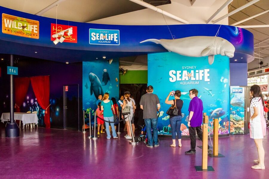 Sydney: Combo Pass for 2, 3, or 4 Top City Attractions - Is $38 good value?