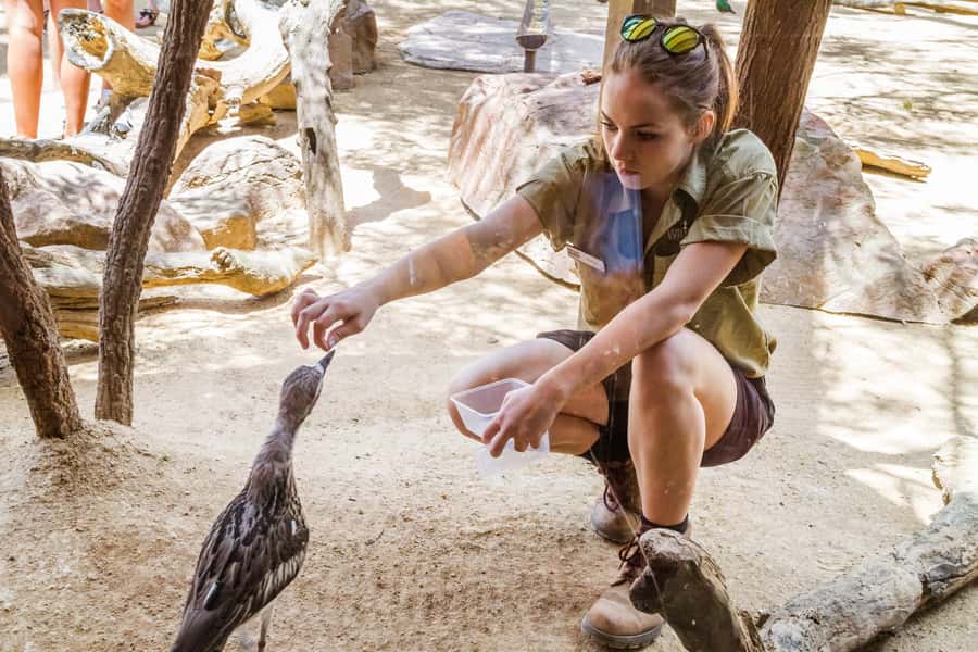 Sydney: Combo Pass for 2, 3, or 4 Top City Attractions - What can make the day frustrating