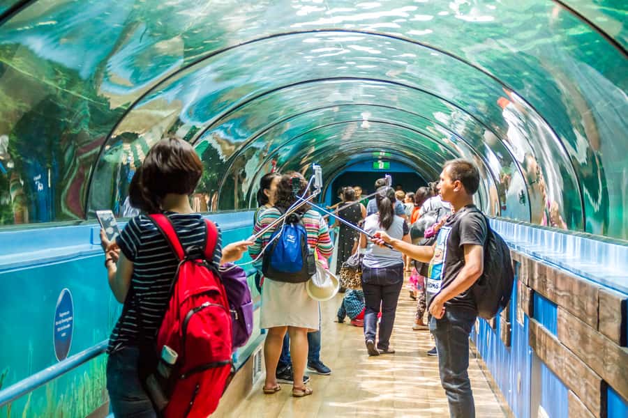 Sydney: Combo Pass for 2, 3, or 4 Top City Attractions - Starting at SEA LIFE Sydney