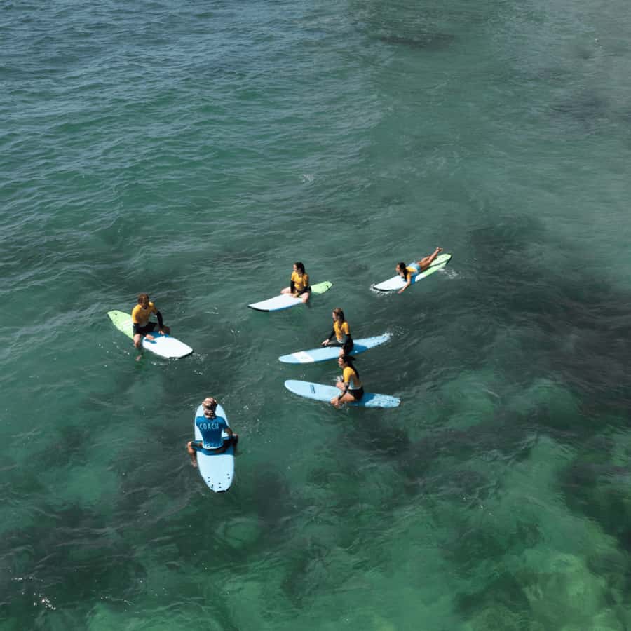Sydney: Dee Why Beach Group Surfing Lesson - Dan, Conrad, and the coaching style