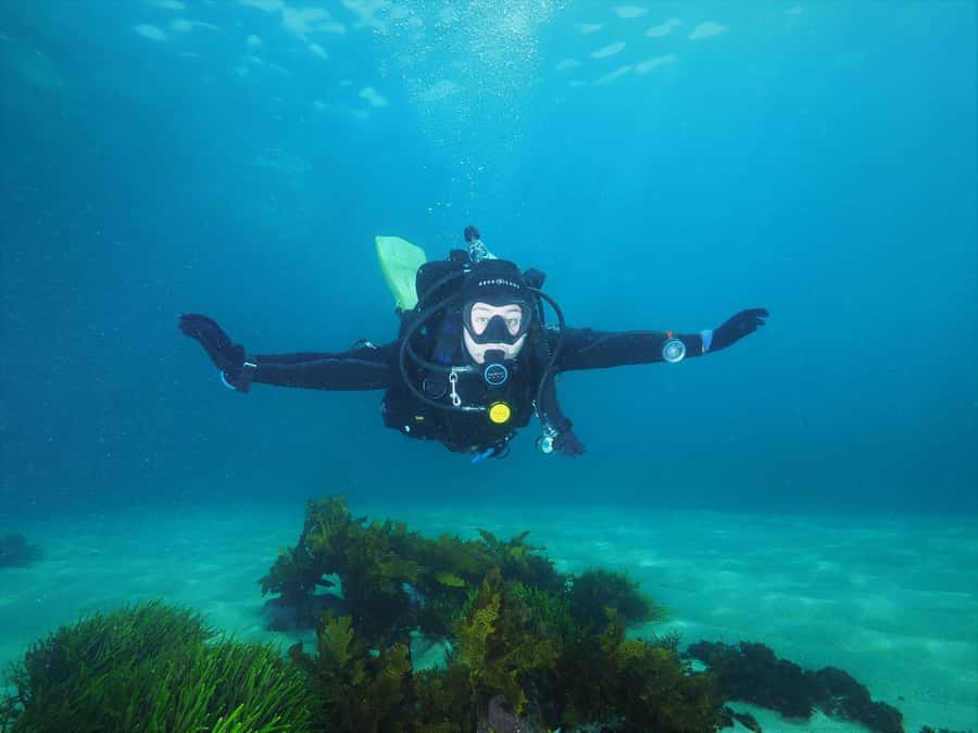 Sydney: Discover Scuba Dive at Australia's most Iconic Beach - Key points to know before you book