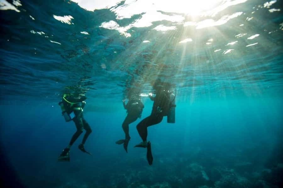 Sydney: Discover Scuba Dive at Australia's most Iconic Beach - Starting at Dive Centre Bondi at 9:30 am