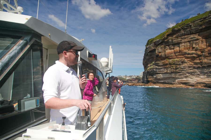 Sydney: Discovery Whale Watching Tour by Catamaran - Indoor comfort, outdoor views, and onboard commentary