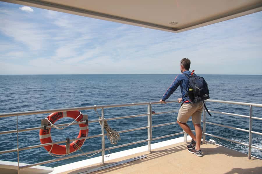 Sydney: Discovery Whale Watching Tour by Catamaran - The $63 price and what you receive