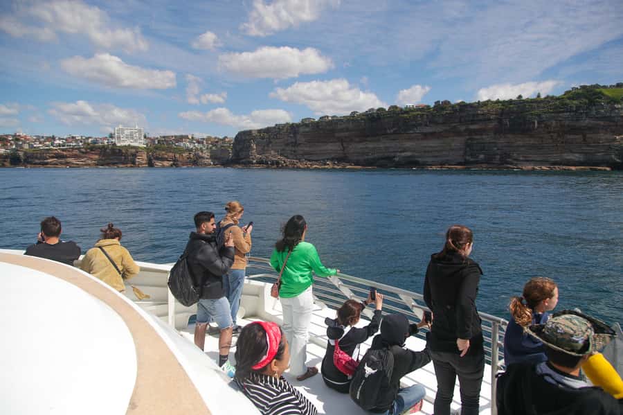 Sydney: Discovery Whale Watching Tour by Catamaran - FAQ