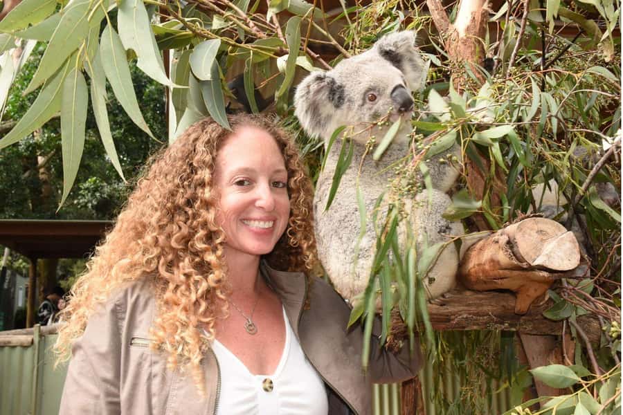 Sydney: Featherdale Wildlife Park Private Tour - The koala encounter and photo question