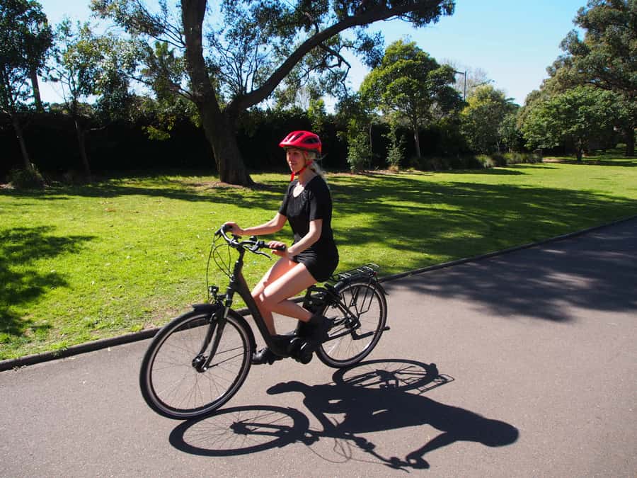 Sydney: Guided Harbour E-Bike Tour - The Sydney Harbour Bridge crossing
