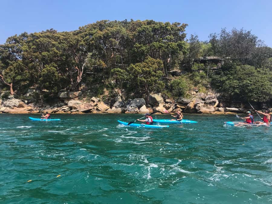 Sydney: Guided Kayak Tour of Manly Cove Beaches - Key points to know before you paddle