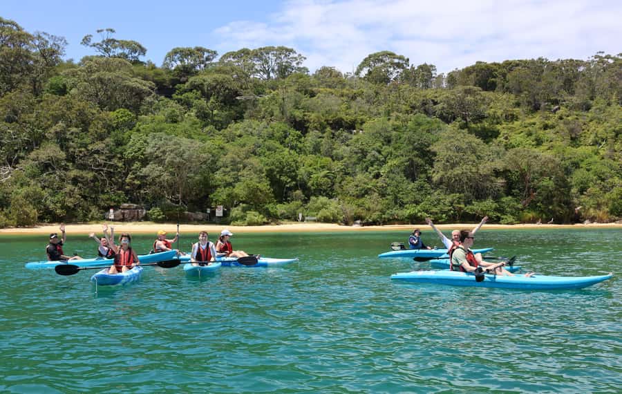 Sydney: Guided Kayak Tour of Manly Cove Beaches - Collins Flat, Store, and Quarantine beaches