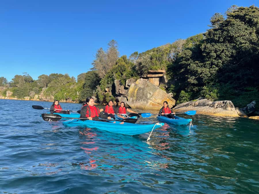 Sydney: Guided Kayak Tour of Manly Cove Beaches - Is $67 good value for 150 minutes?