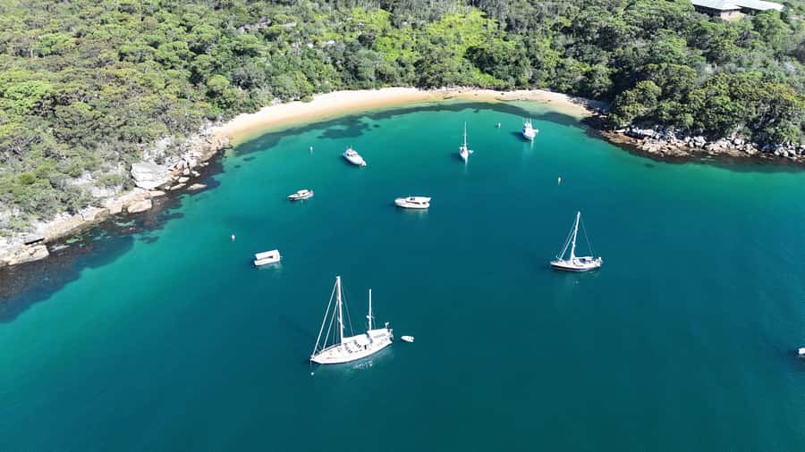 Sydney: Guided Kayak Tour of Manly Cove Beaches - Who will enjoy this Manly kayaking tour?