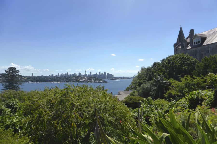 Sydney: Half-Day City Tour - How much walking and driving should you expect?