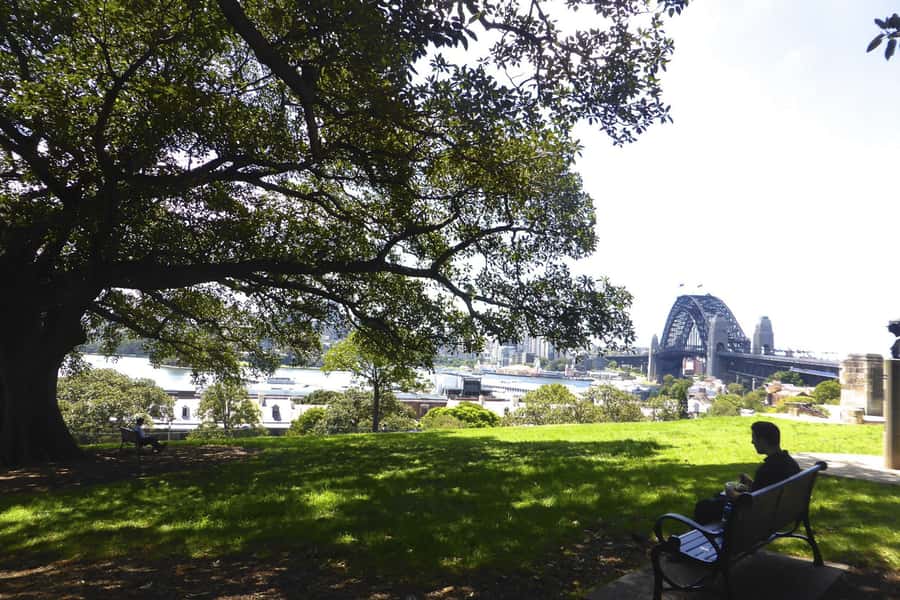 Sydney: Half-Day City Tour - Tamarama, Bronte, and the city’s outdoor life