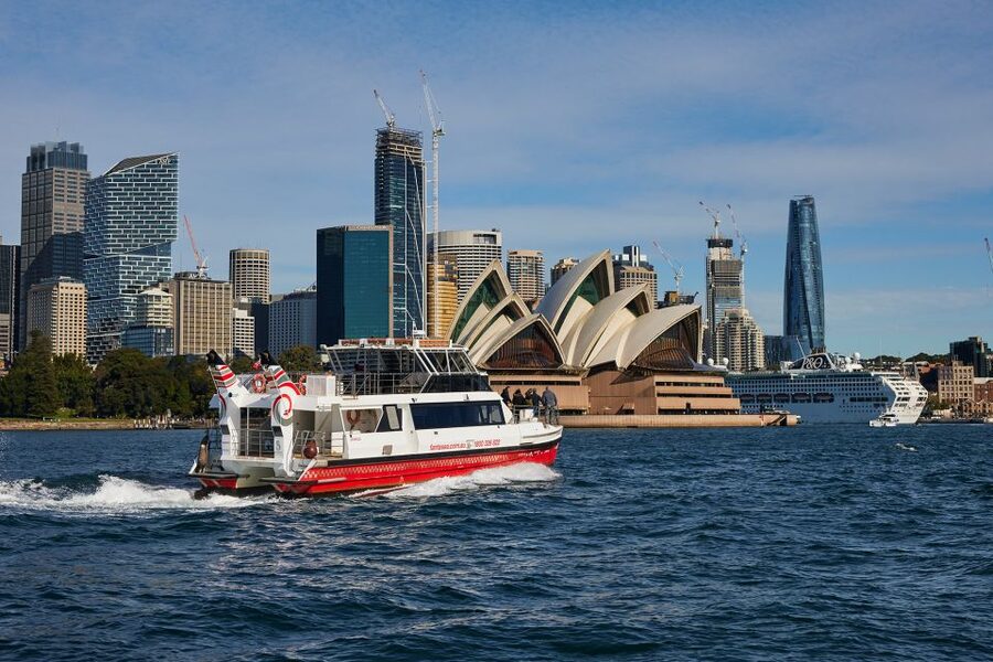 Sydney Harbour Sightseeing Cruise from Circular Quay - Luna Park, Blue Point, Goat Island, and Simmons Point