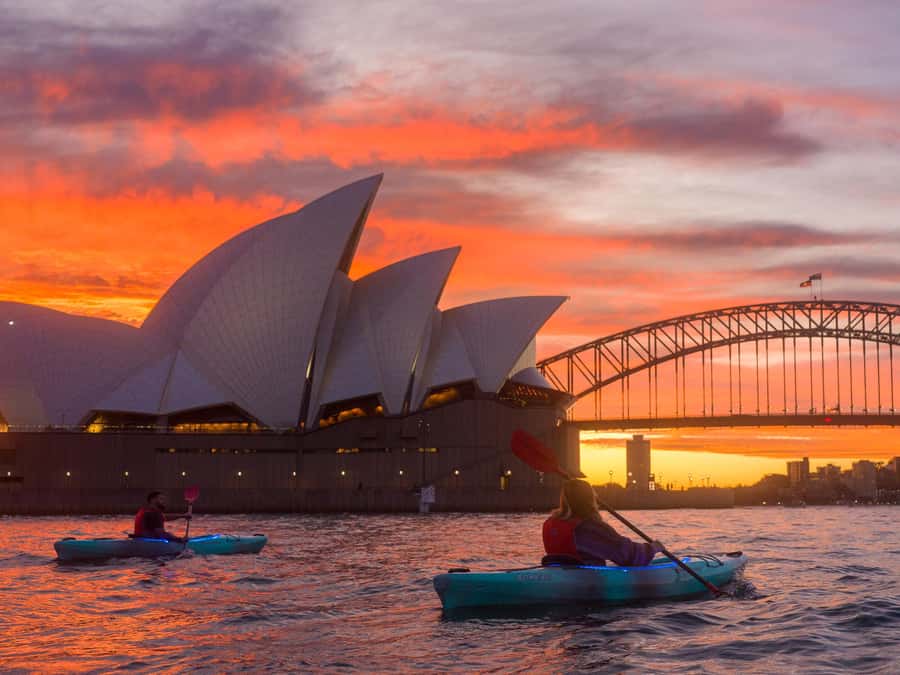 Sydney: Harbour Sunrise Kayak Tour - Key points before you book